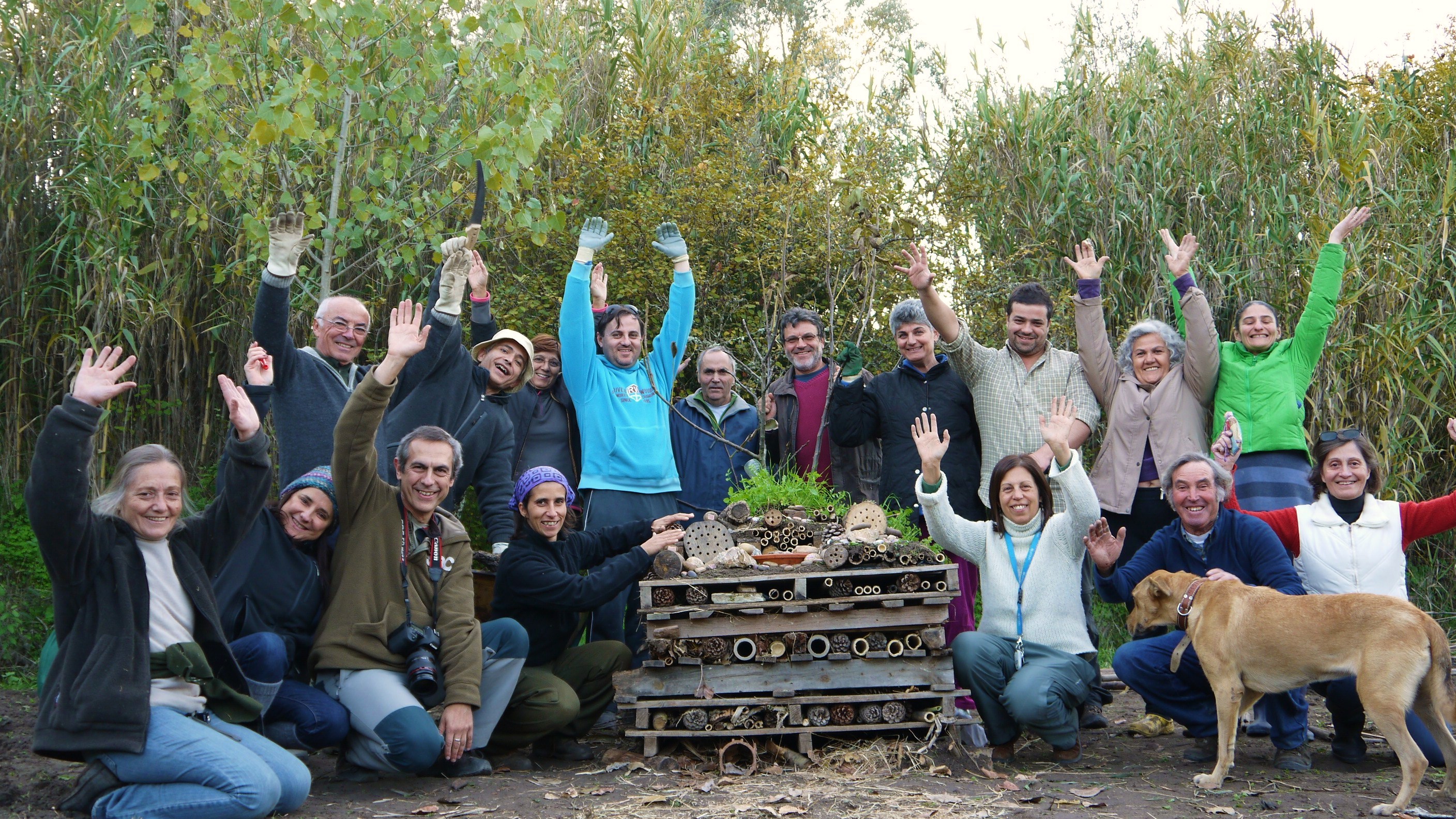 WORKSHOP DE HORTICULTURA SUSTENTÁVEL  EM MORA 
