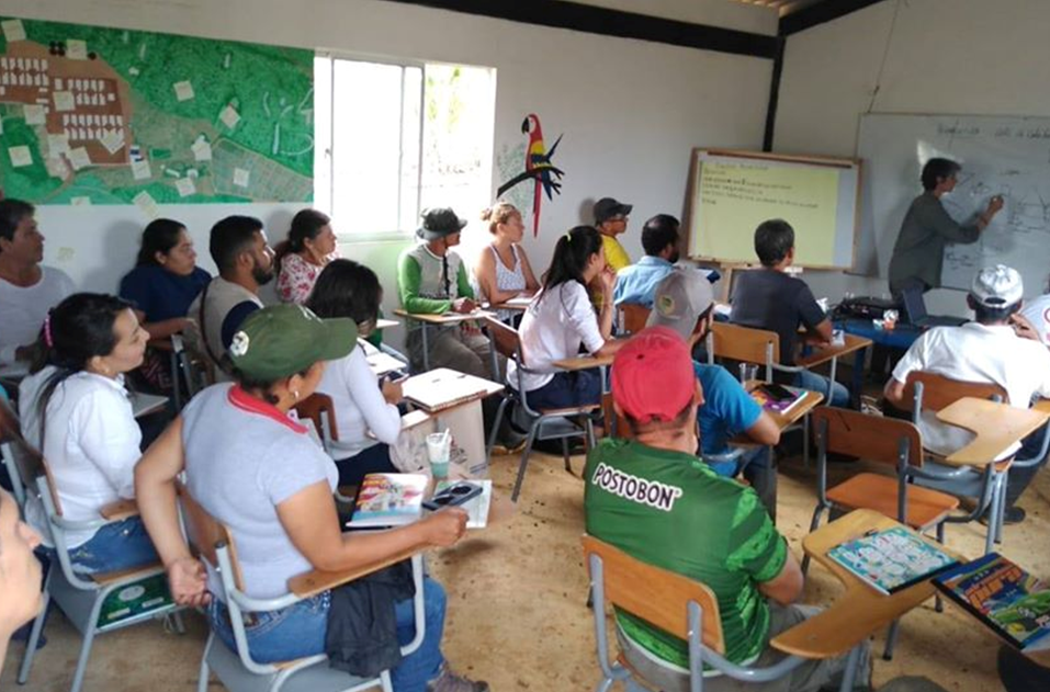 Agroecologia Wakeseed na Colômbia